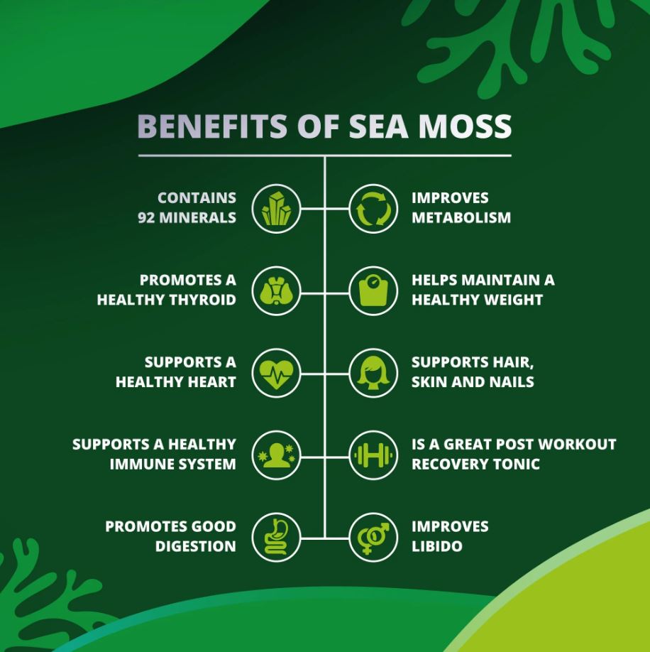 True Sea Moss & Sea Moss Gummies - 60 Gummies - Guardian Angel Naturals